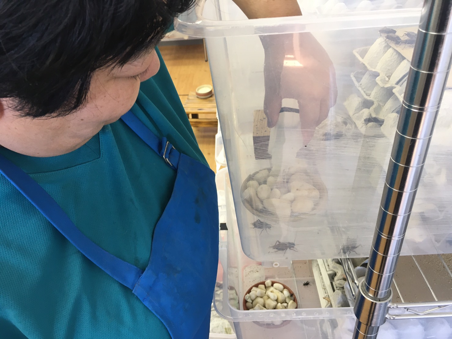 雑貨屋すまいる